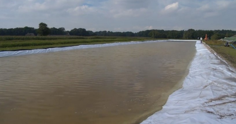 Ecoferm outside duckweedpond