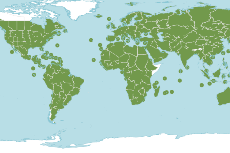 WCVP distribution